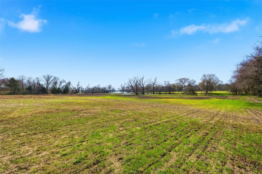 2303 Pilgrim Lane, Lorena, TX 76655 Expansive acreage featuring cleared level terrain, mature tree lines, and open horizon