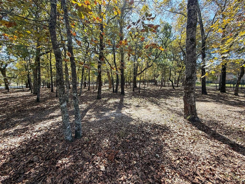 7386 Clint Ct, Athens, TX 75752 7386 Clint Ct, Athens, TX 75752