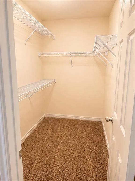 1207 Fox Trail Drive, Allen, TX 75002 Storage space featuring wall-to-wall carpeting and white wire shelving units