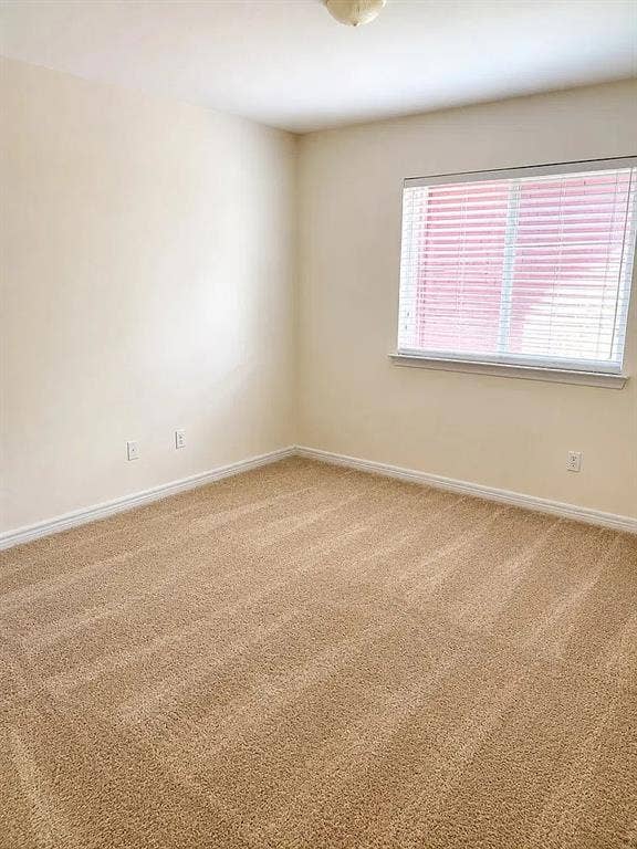 1207 Fox Trail Drive, Allen, TX 75002 Neutral-toned interior room featuring wall-to-wall carpeting, window blinds, and a flush-mount ceiling light fixture