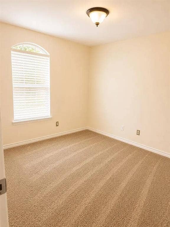 1207 Fox Trail Drive, Allen, TX 75002 Neutral carpet flooring, arched top window, and flush-mount ceiling lighting