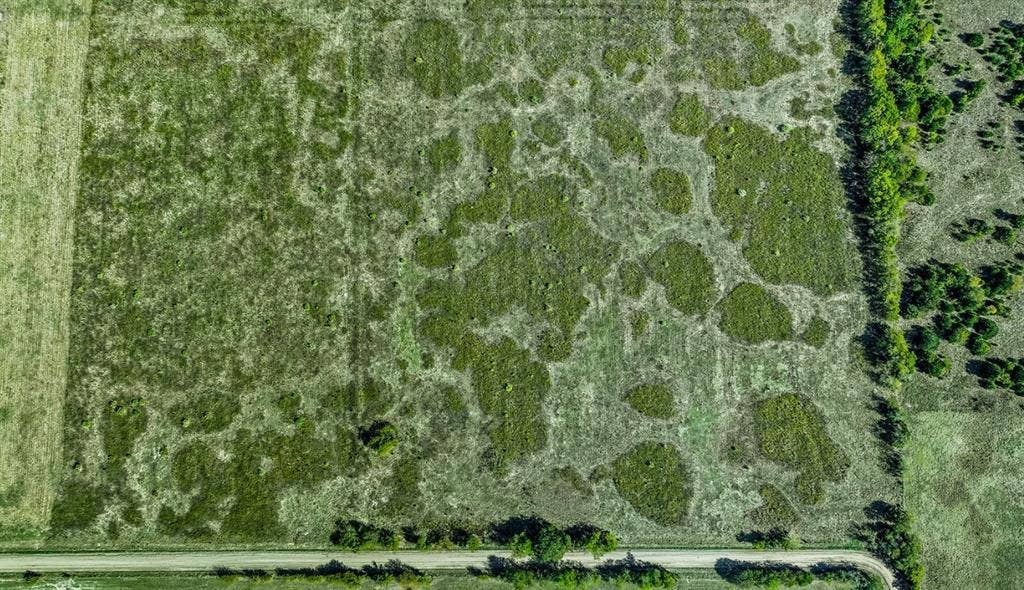 0 County Road 4604, Commerce, TX 75428 Aerial perspective of expansive acreage featuring meadow terrain, clusters of native vegetation, and mature tree lines bordering a gravel road frontage