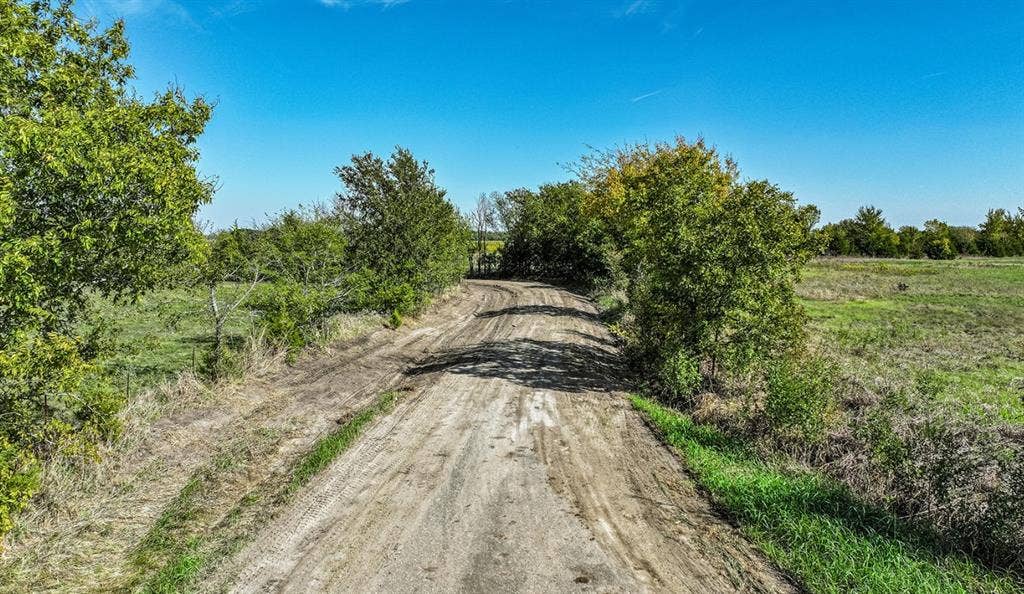 0 County Road 4604, Commerce, TX 75428 Expansive acreage featuring mature trees, natural vegetation, and an unpaved road