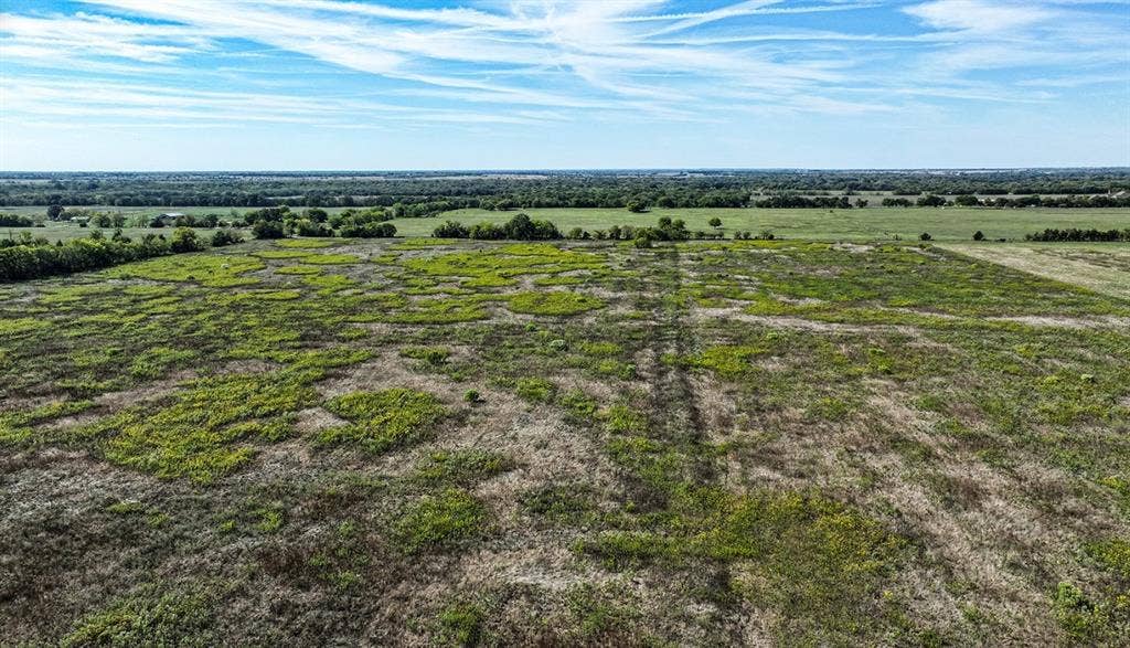 0 County Road 4604, Commerce, TX 75428 Expansive acreage featuring cleared level terrain, native ground cover, and perimeter mature trees