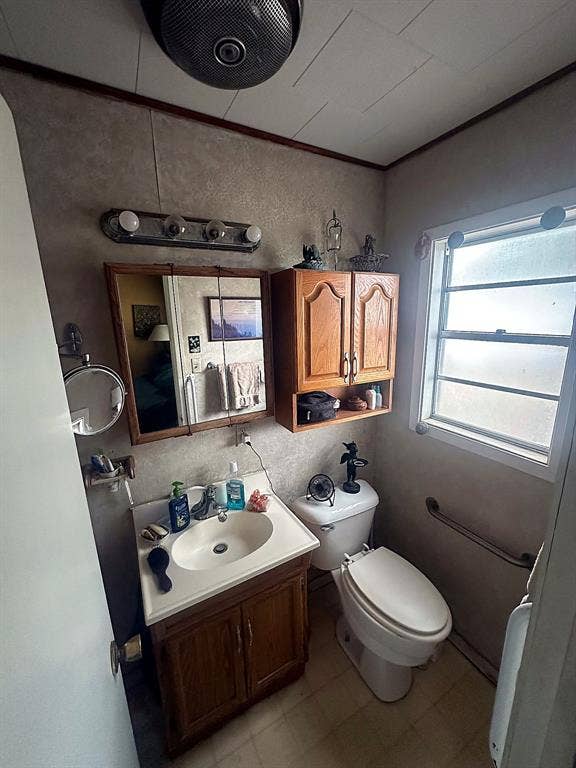 305 McKay Road, Burnet, TX 78611 Bathroom featuring a wood-toned vanity with an integrated basin, matching wall-mounted storage cabinet, multi-bulb vanity lighting, and wall-mounted grab bars