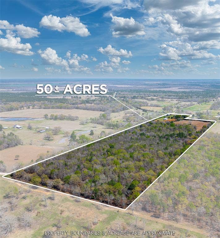 Property photo for 48 County Road 2360, Bagwell, TX