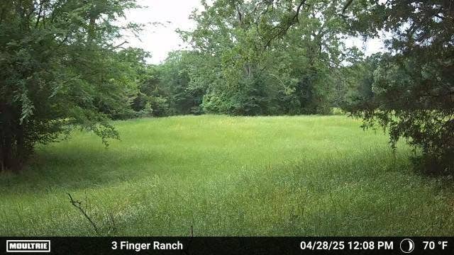 0 Pvt Rd 5209, Athens, TX 75751 0 Pvt Rd 5209, Athens, TX 75751