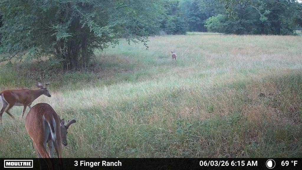0 Pvt Rd 5209, Athens, TX 75751 0 Pvt Rd 5209, Athens, TX 75751