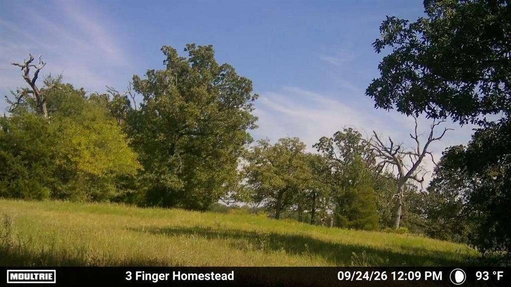 0 Pvt Rd 5209, Athens, TX 75751 0 Pvt Rd 5209, Athens, TX 75751