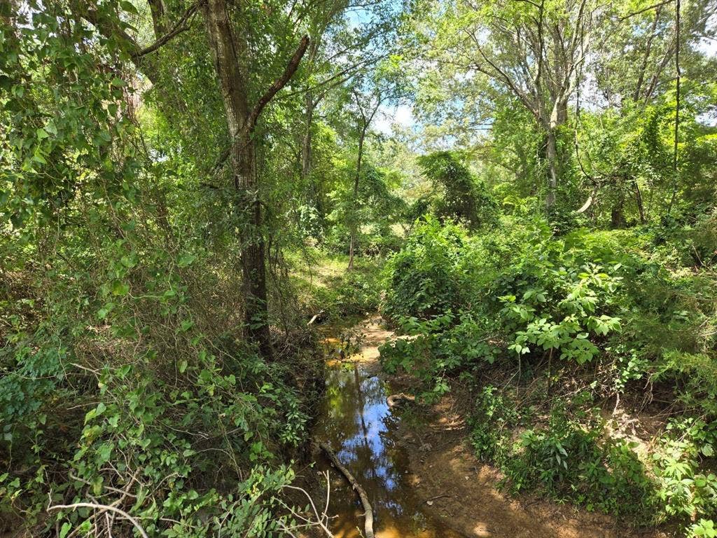 0 Pvt Rd 5209, Athens, TX 75751 0 Pvt Rd 5209, Athens, TX 75751