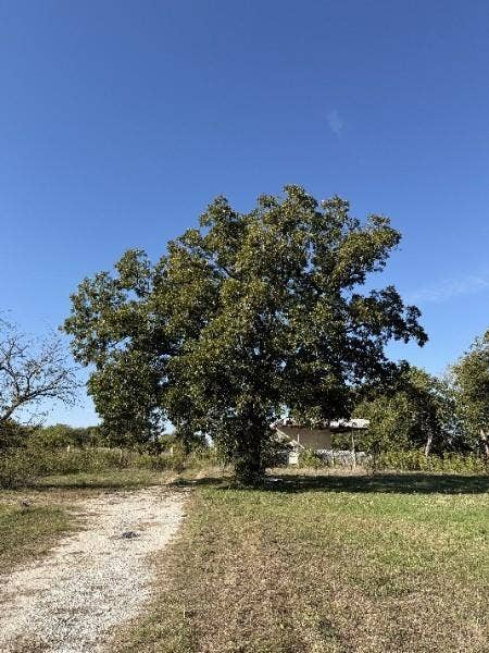 728 N Old Robinson Road, Robinson, TX 76706 728 N Old Robinson Road, Robinson, TX 76706
