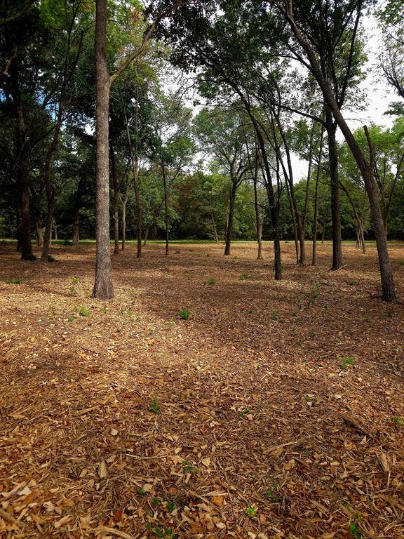 1981 Underwood Drive, Quinlan, TX 75474