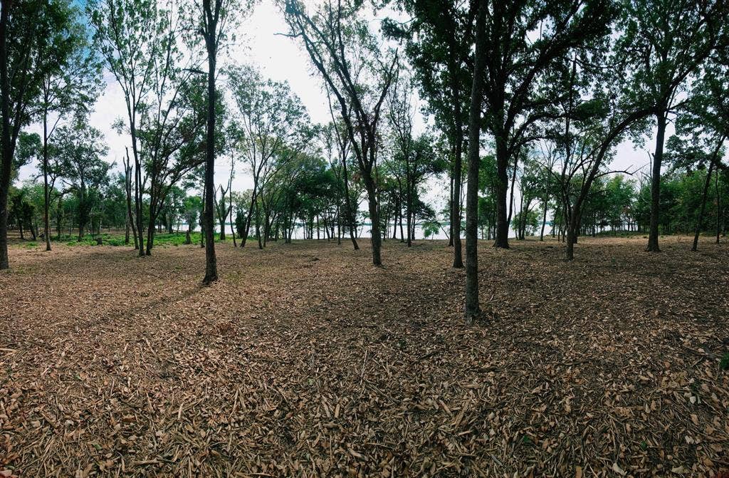 1981 Underwood Drive, Quinlan, TX 75474