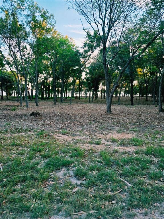 1981 Underwood Drive, Quinlan, TX 75474