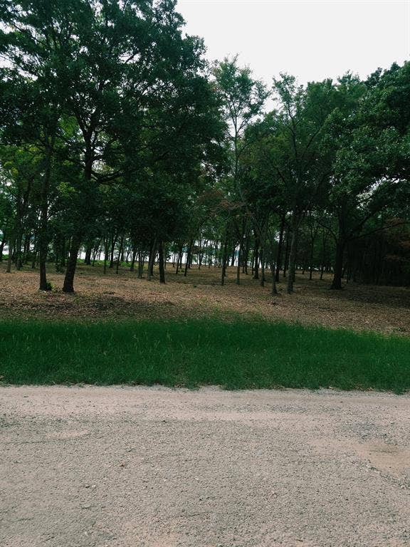 1981 Underwood Drive, Quinlan, TX 75474