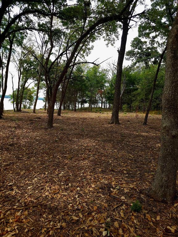 1981 Underwood Drive, Quinlan, TX 75474
