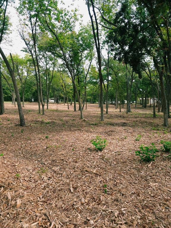 1981 Underwood Drive, Quinlan, TX 75474