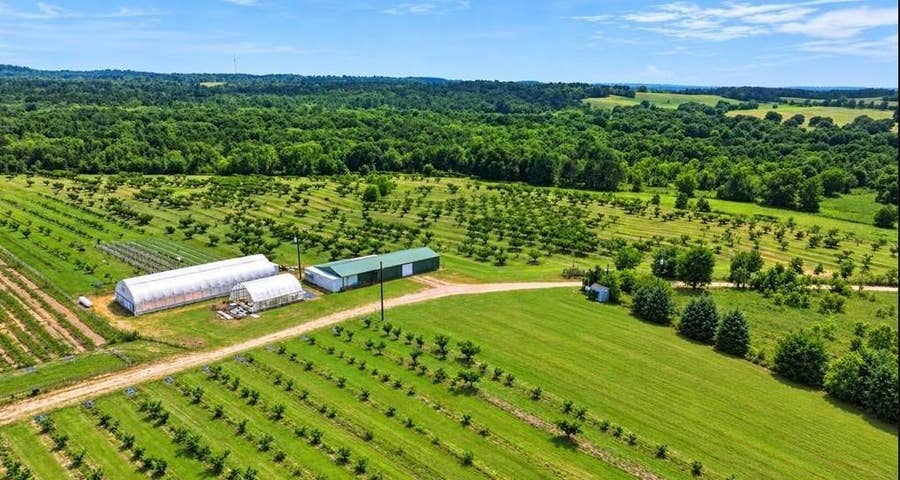 Property photo for 16420 County Road 356, Winona, TX