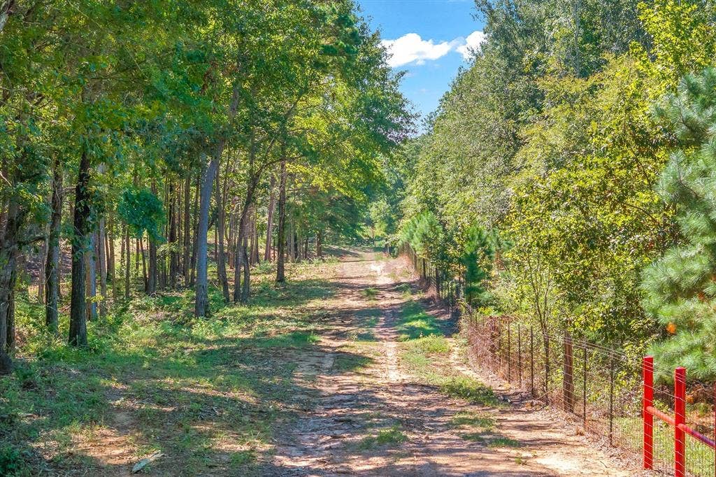 14495 Fm 344 W, Bullard, TX 75757