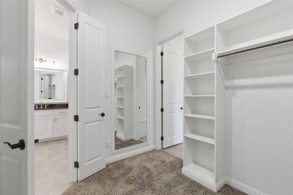 Walk-in closet featuring built-in white shelving, a hanging rod, wall-mounted mirror, and carpeted flooring