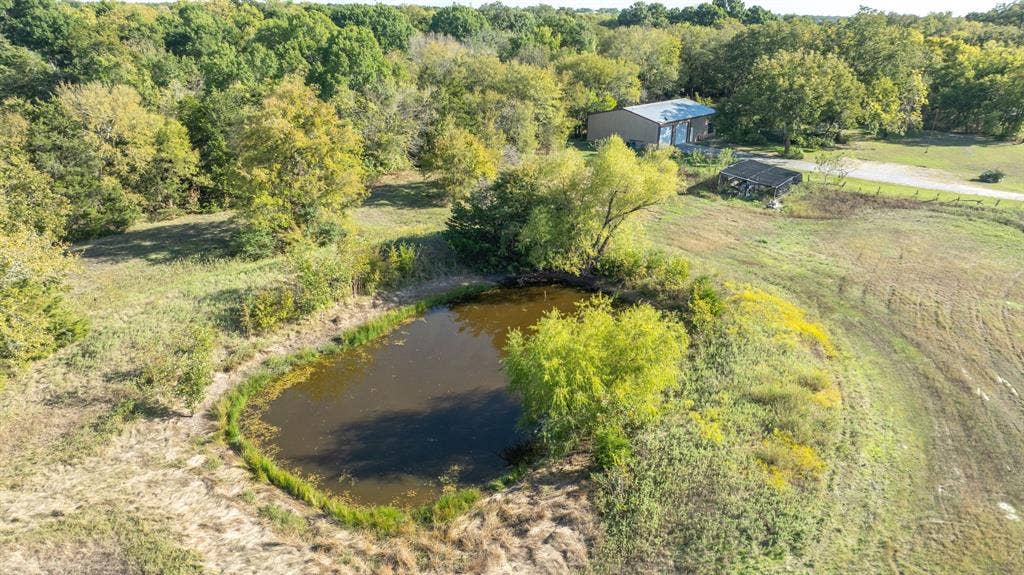 1495 Fm 36 N, Farmersville, TX 75442 Pond on property