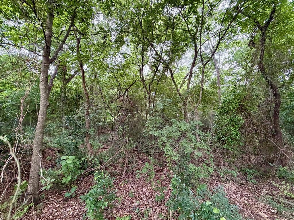 0 Garner Drive, Mabank, TX 75156