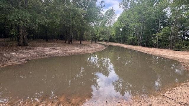 Property photo for 899 CR 1412, Bogata, TX
