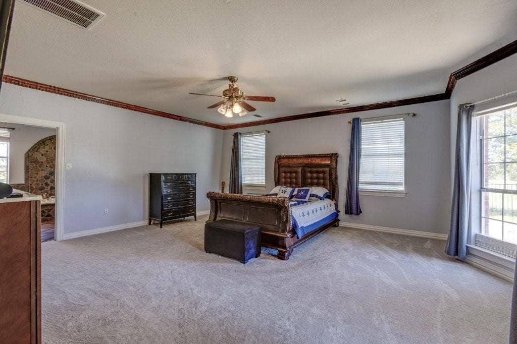 Spacious room featuring crown molding, neutral carpeting, a multi-blade ceiling fan with integrated light fixture, and large windows with horizontal blinds