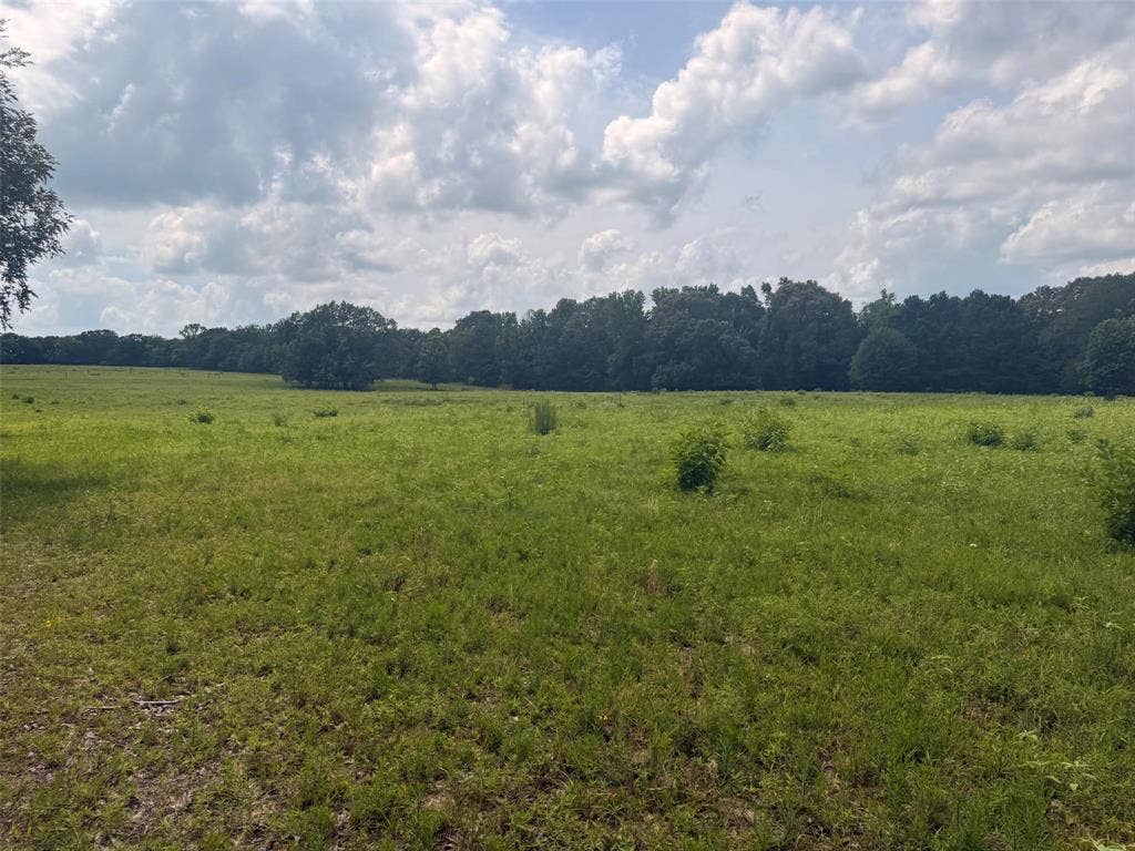 5767 Farm to Market Rd 2339, Murchison, TX 75778 5767 Farm to Market Rd 2339, Murchison, TX 75778