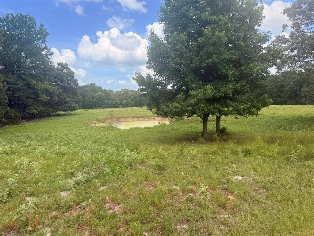 5767 Farm to Market Rd 2339, Murchison, TX 75778 5767 Farm to Market Rd 2339, Murchison, TX 75778