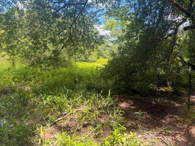 5767 Farm to Market Rd 2339, Murchison, TX 75778 5767 Farm to Market Rd 2339, Murchison, TX 75778