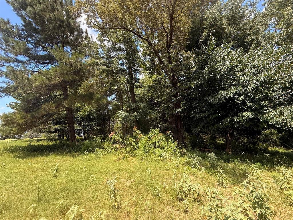 5767 Farm to Market Rd 2339, Murchison, TX 75778 5767 Farm to Market Rd 2339, Murchison, TX 75778