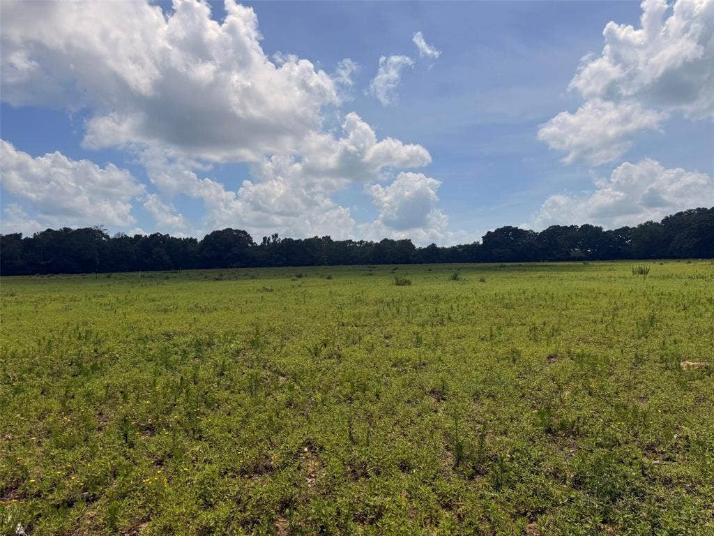 5767 Farm to Market Rd 2339, Murchison, TX 75778 5767 Farm to Market Rd 2339, Murchison, TX 75778