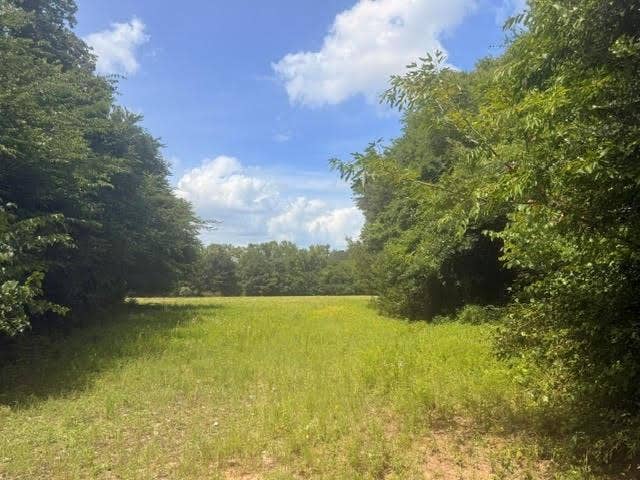 5767 Farm to Market Rd 2339, Murchison, TX 75778 5767 Farm to Market Rd 2339, Murchison, TX 75778