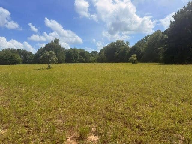 5767 Farm to Market Rd 2339, Murchison, TX 75778 5767 Farm to Market Rd 2339, Murchison, TX 75778