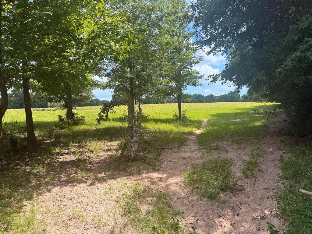 5767 Farm to Market Rd 2339, Murchison, TX 75778 5767 Farm to Market Rd 2339, Murchison, TX 75778