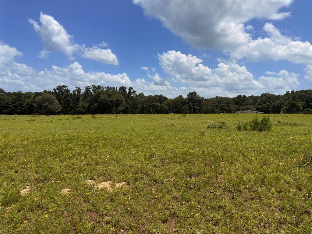 5767 Farm to Market Rd 2339, Murchison, TX 75778 5767 Farm to Market Rd 2339, Murchison, TX 75778