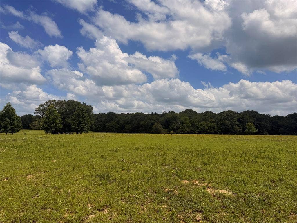 5767 Farm to Market Rd 2339, Murchison, TX 75778 5767 Farm to Market Rd 2339, Murchison, TX 75778