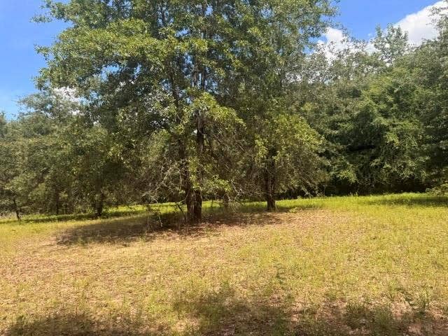 5767 Farm to Market Rd 2339, Murchison, TX 75778 5767 Farm to Market Rd 2339, Murchison, TX 75778