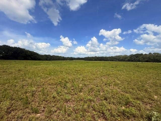 5767 Farm to Market Rd 2339, Murchison, TX 75778 5767 Farm to Market Rd 2339, Murchison, TX 75778