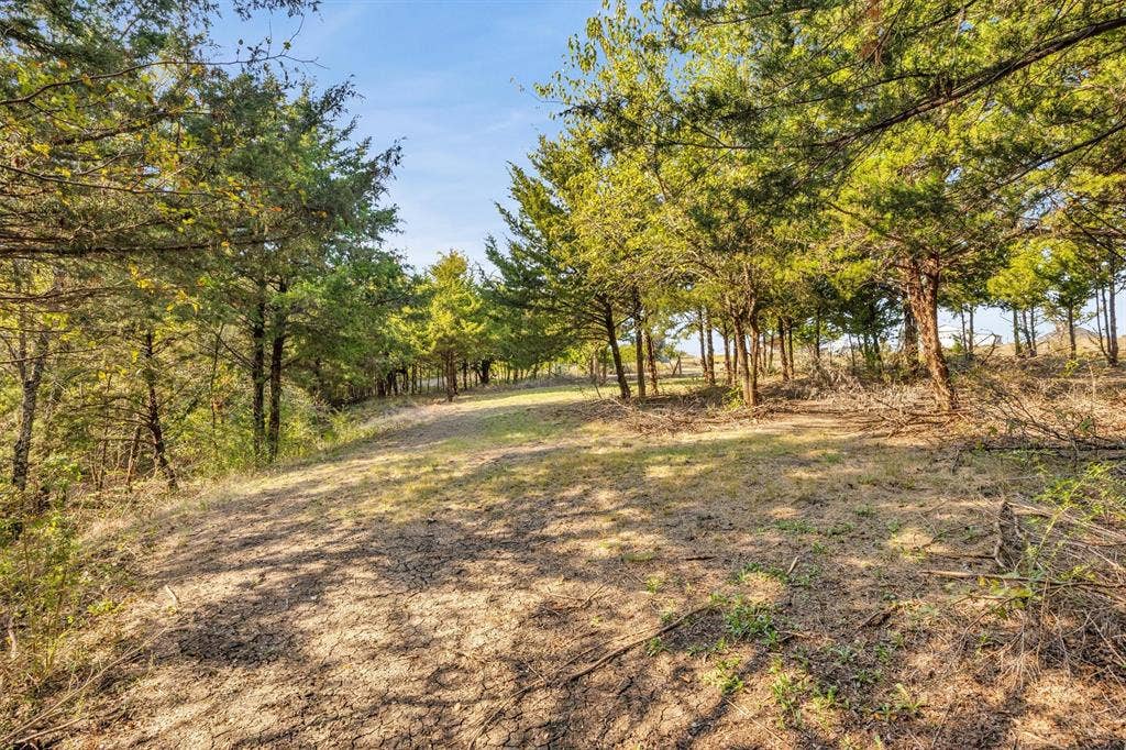 9880 County Road 466, Princeton, TX 75407 9880 County Road 466, Princeton, TX 75407