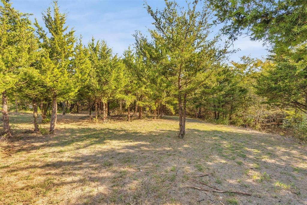 9880 County Road 466, Princeton, TX 75407 9880 County Road 466, Princeton, TX 75407