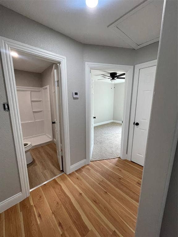 816 Carbona Drive, Dallas, TX 75217