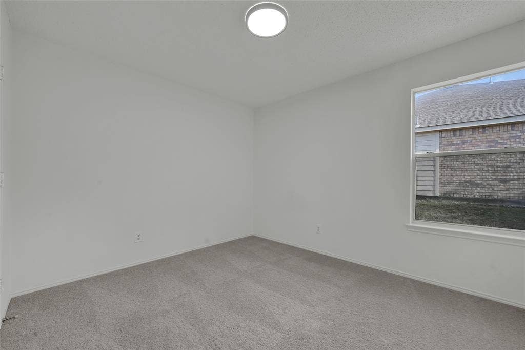 Neutral-toned wall paint, plush carpeting, a single-pane window, and a flush-mount overhead light fixture