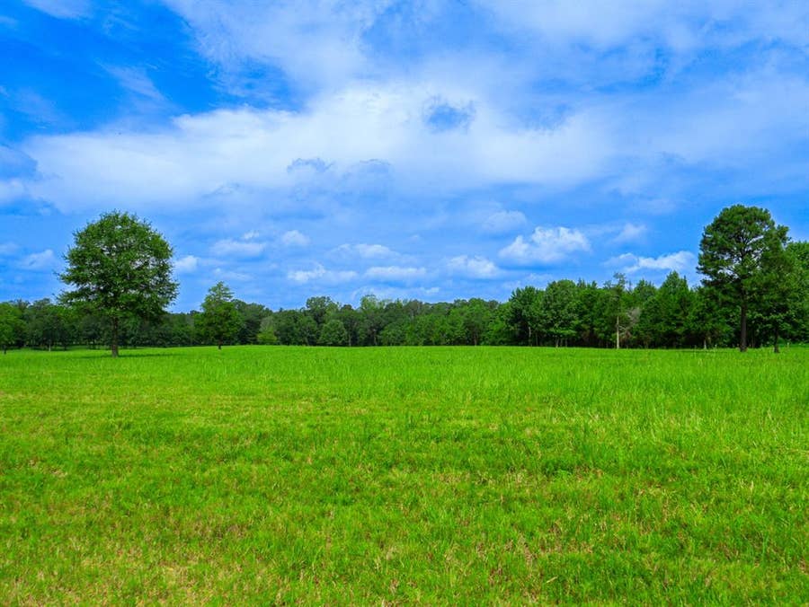 Property photo for D-4 79 Highway, Homer, LA