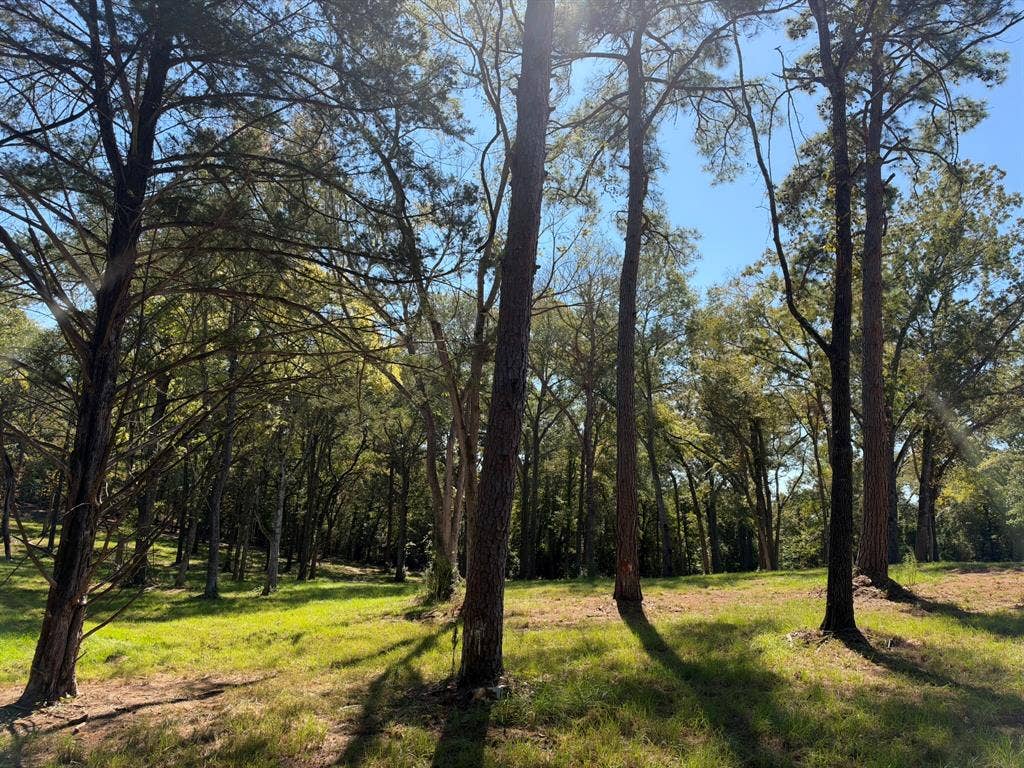 22080 County Road 4117, Frankston, TX 75763