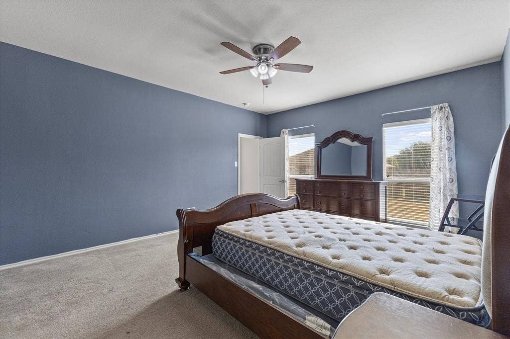 Room featuring neutral carpeting, dual windows, and a ceiling fan with integrated lighting