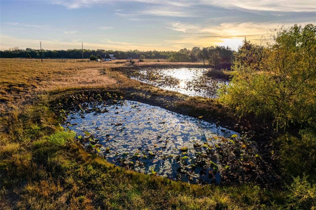 1154 Outlaw Trail, Wolfe City, TX 75496 Expansive acreage featuring natural ponds and mature trees