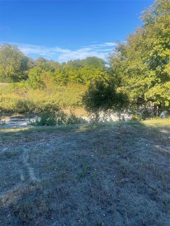 Expansive lot featuring mature trees, natural vegetation, and open green space