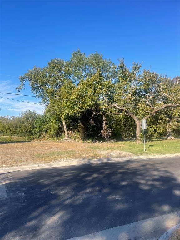 Vacant lot featuring cleared terrain, established mature trees, and direct street access
